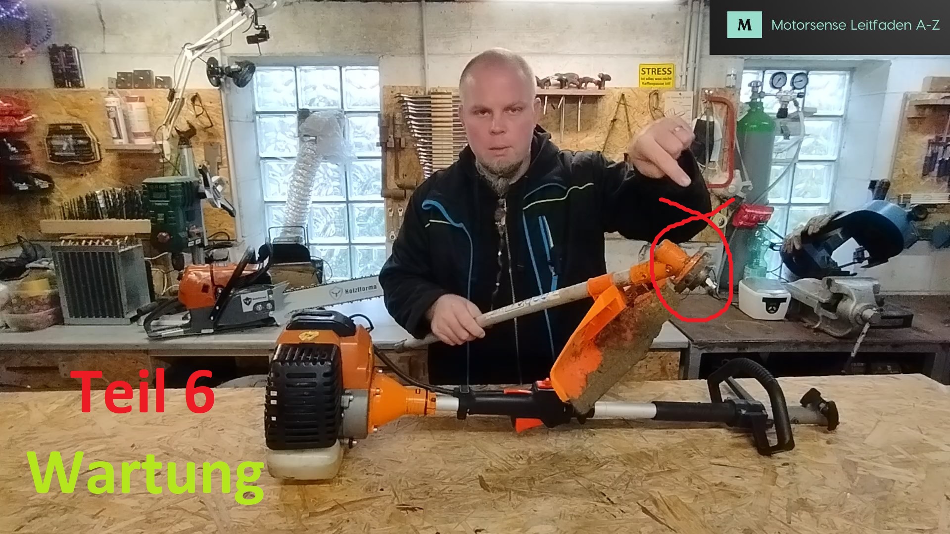 Motorsense 6 Wartung