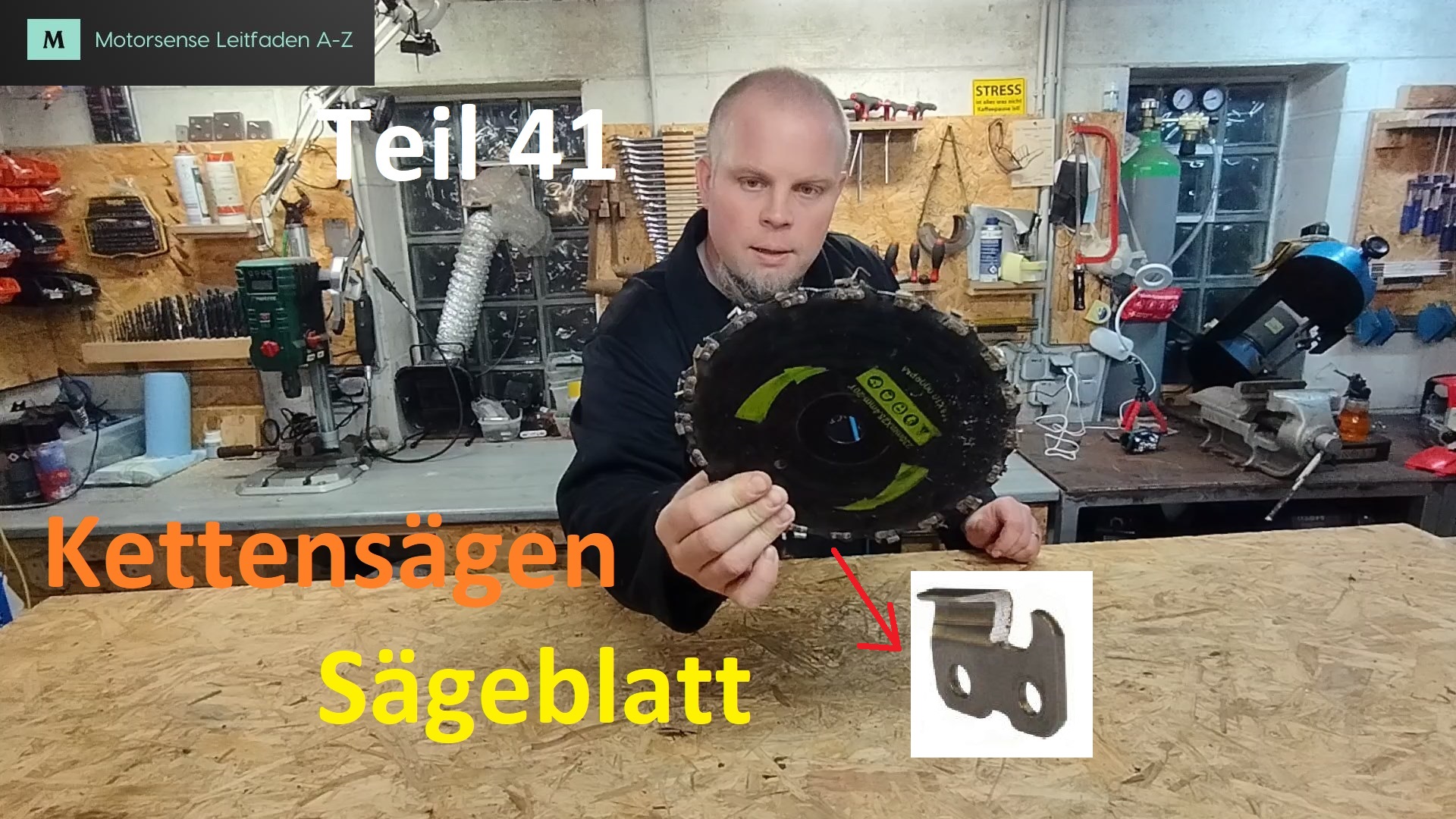 Motorsense Freischneider Reparaturanleitung Leitfaden Kettensaegenblatt