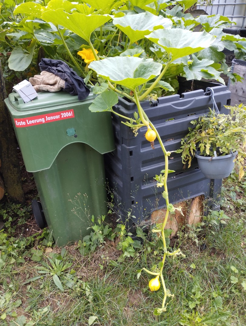 Brennholzlager Kuerbis 03