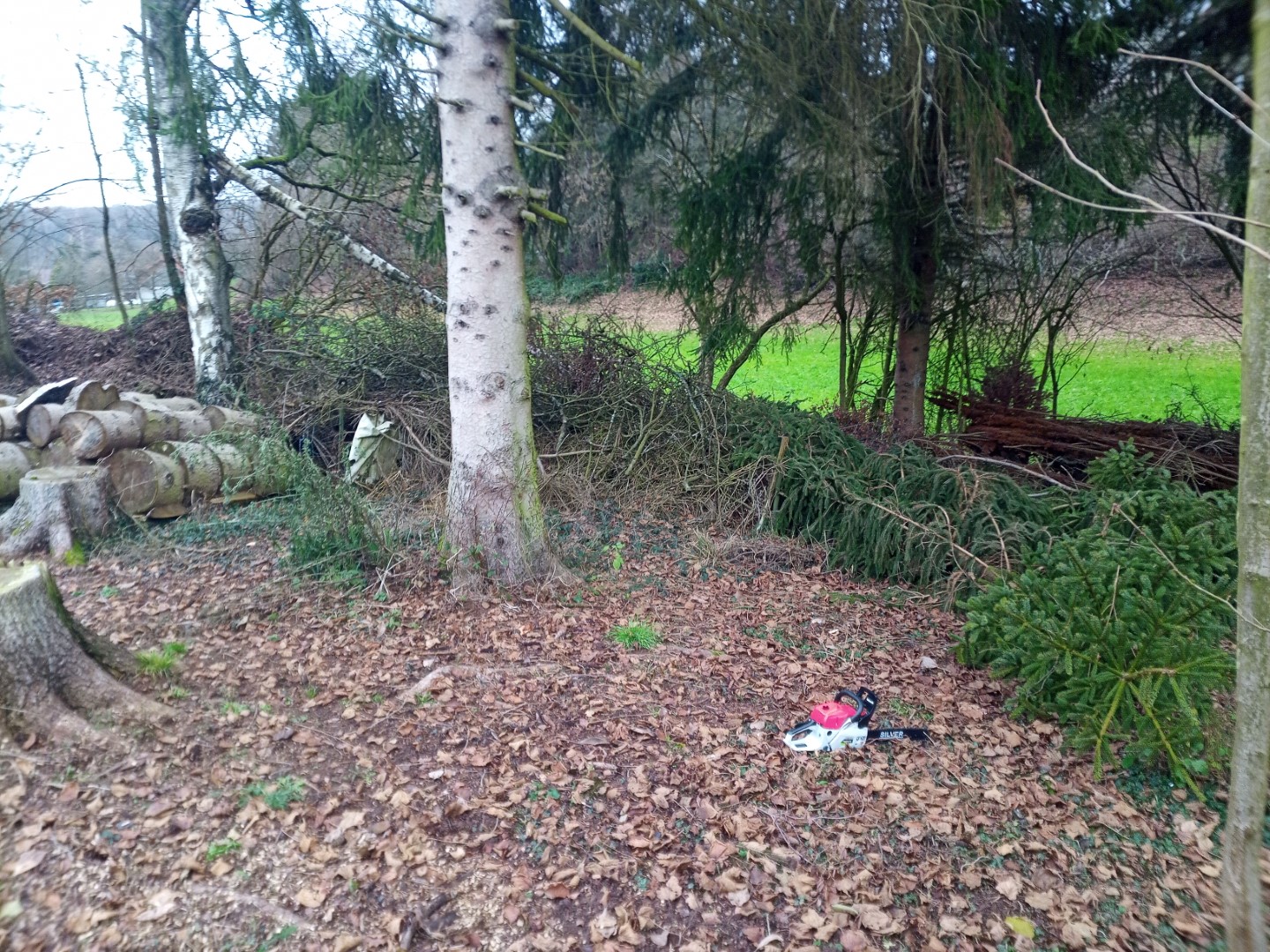 Greencut GS680X 68cc Kettensaege Benzin Motorsaege