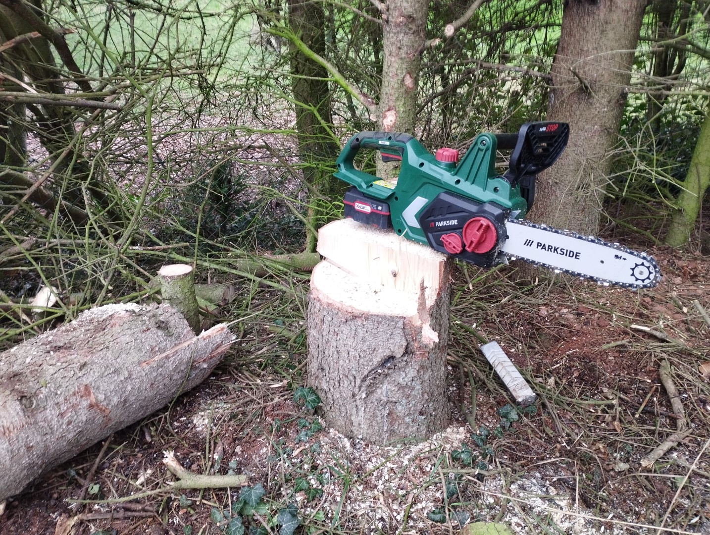 Motorsaege Akku Kettensaege 23cm Parkside 20V PKSA 20 Li B2 04