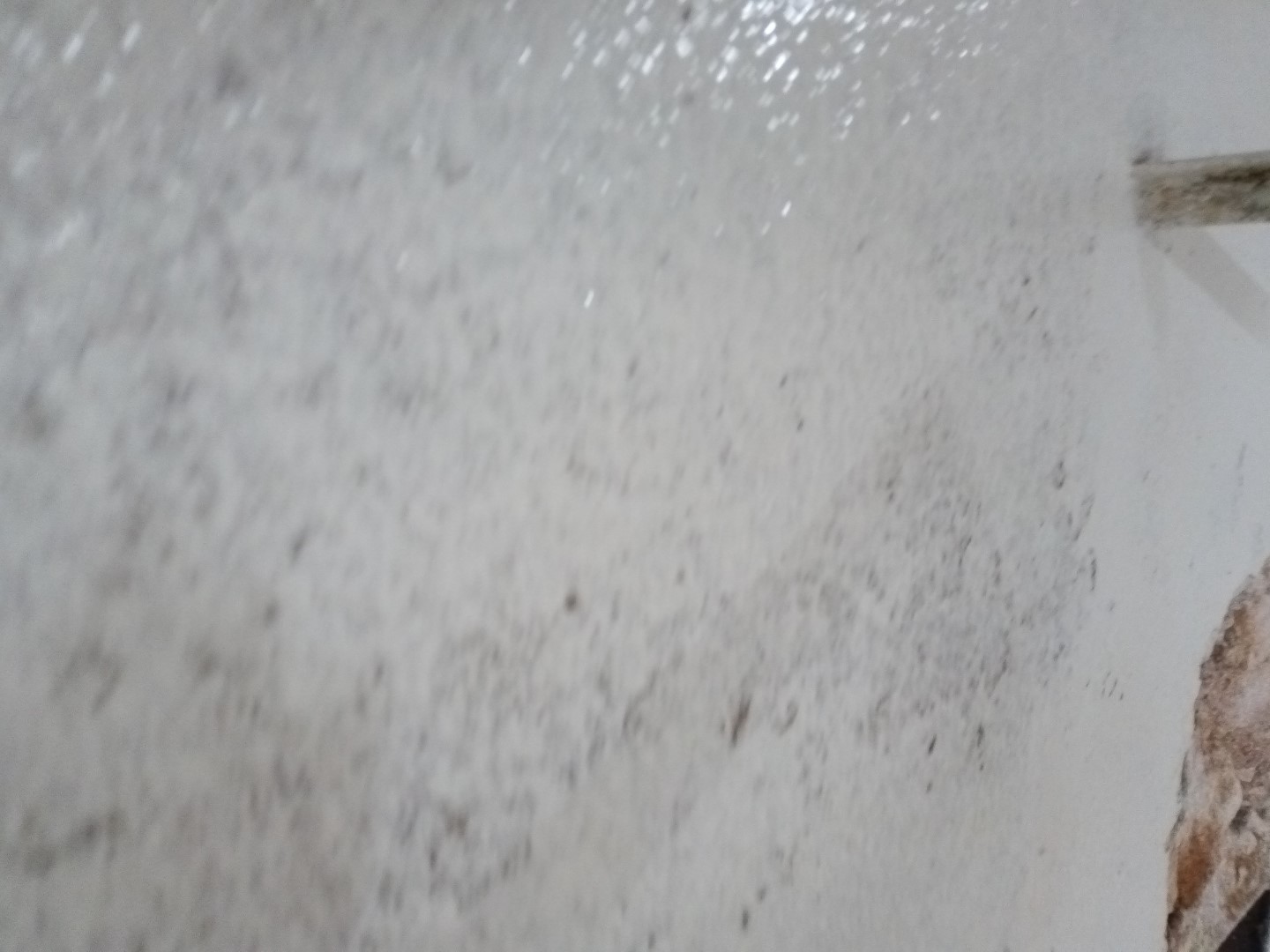 Wilckens Innenwandfarbe Globus Baumarkt 2