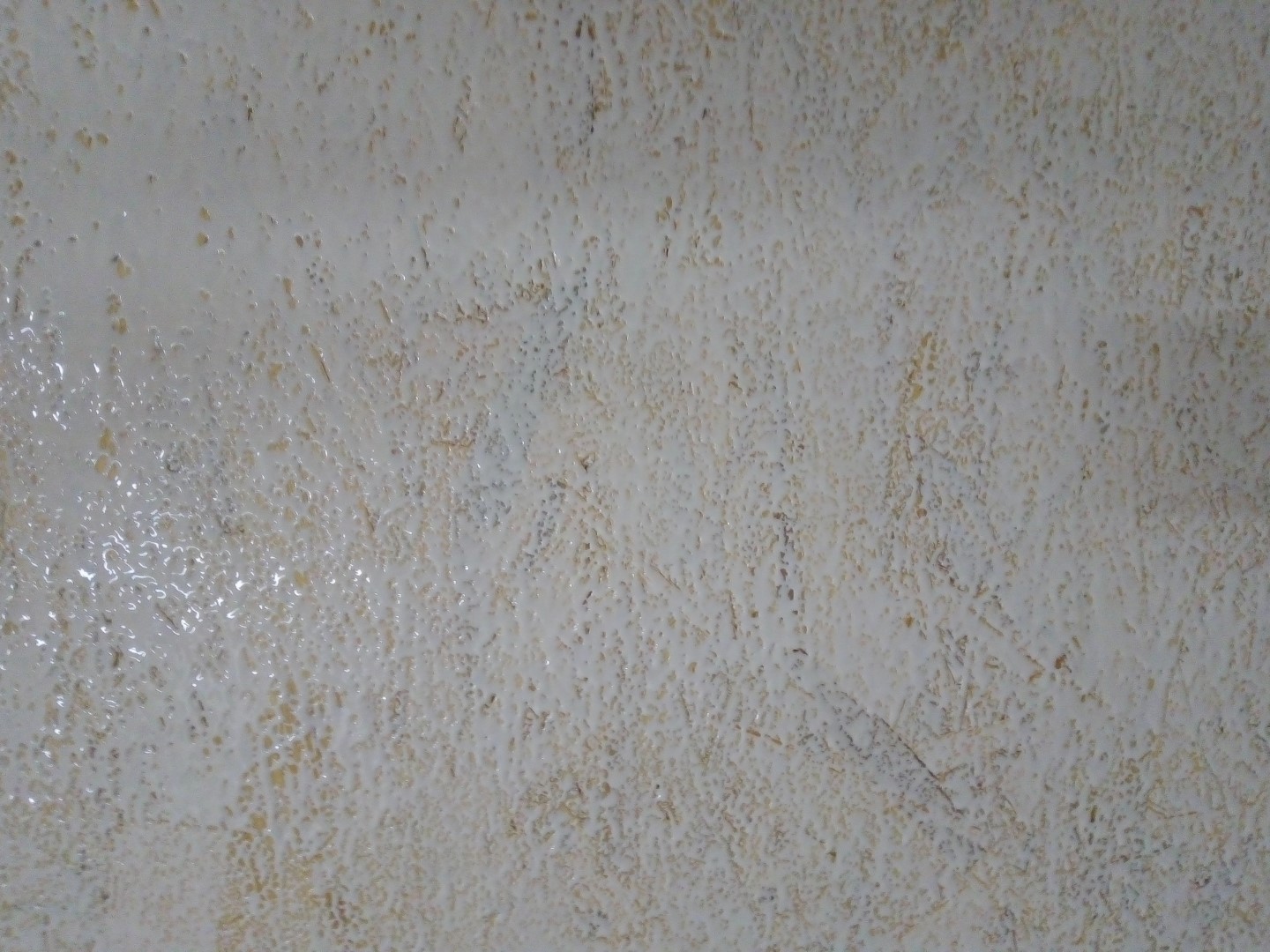 Wilckens Innenwandfarbe Globus Baumarkt 3