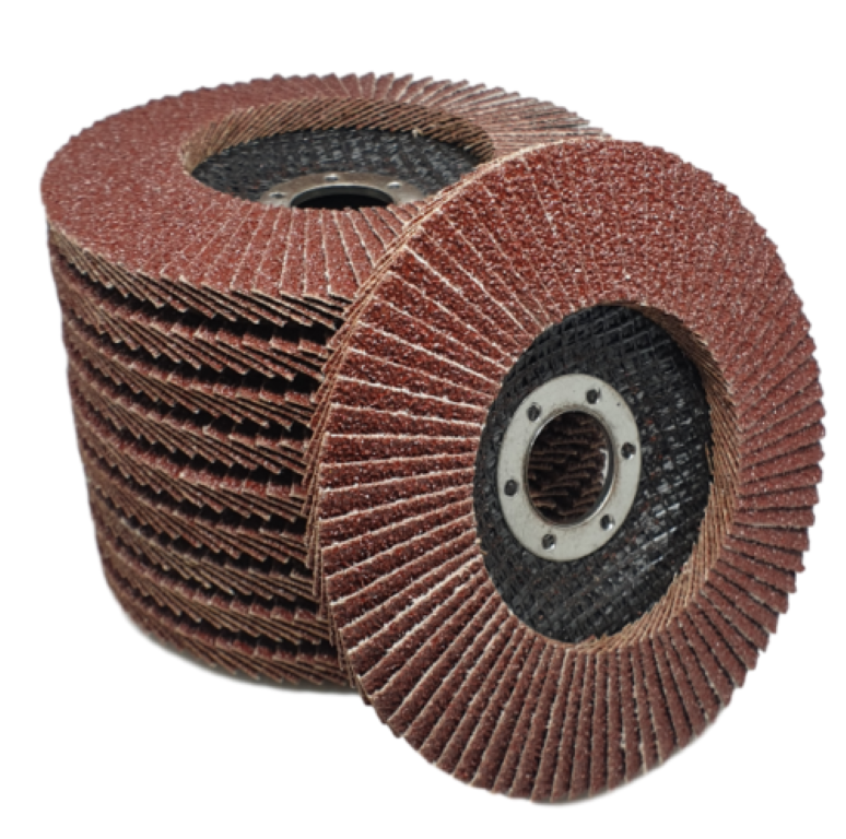 Winkelschleifer Faecherscheiben