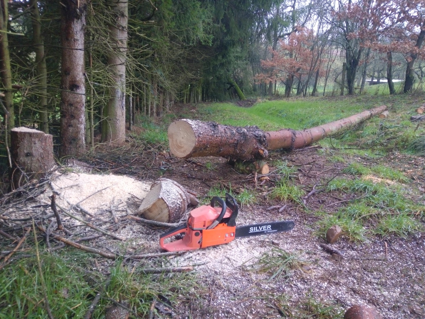 Timberpro 58 56