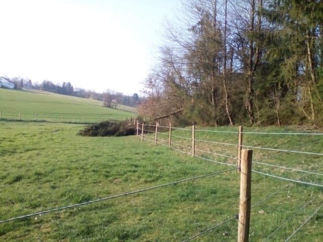 Bild von