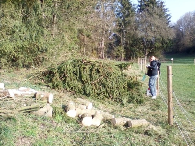 Bild von