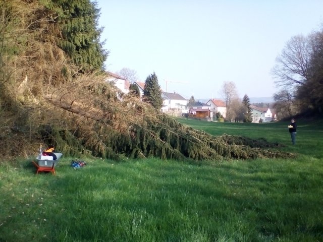 Bild von