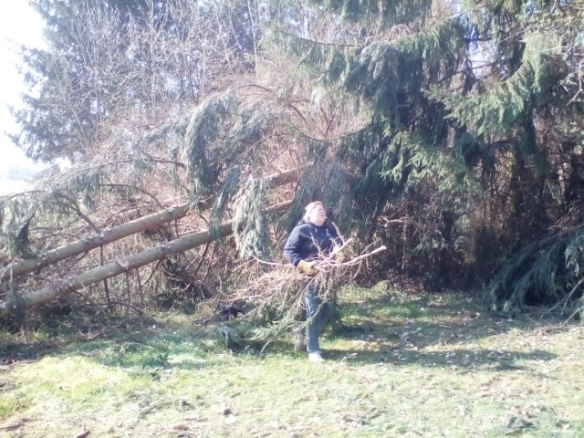 Bild von