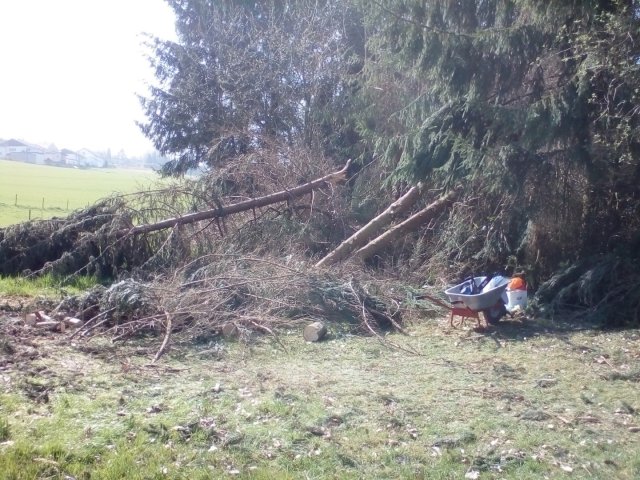 Bild von