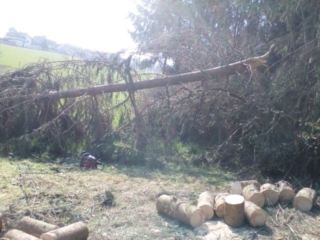 Bild von