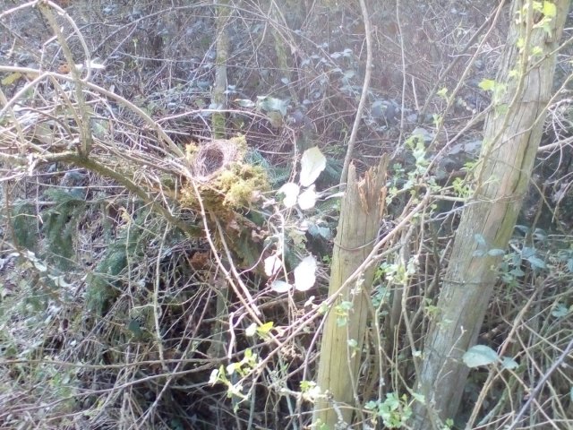 Bild von