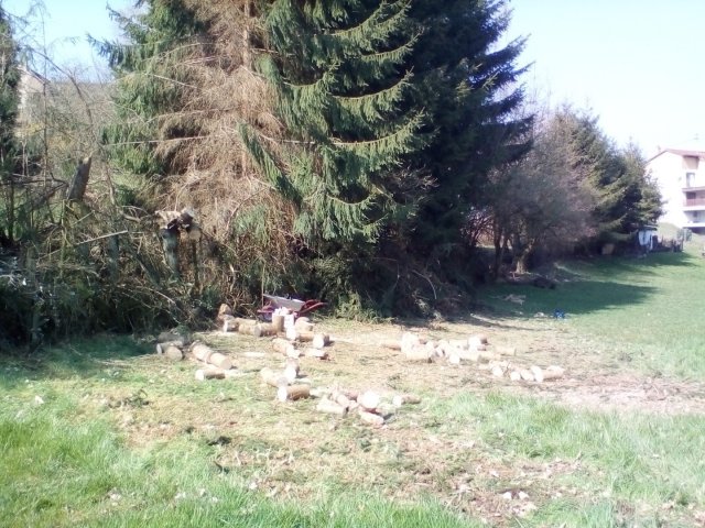 Bild von