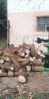Bild von holz spalten holzspalter elektrisch hydraulisch zipper 12 tonnen