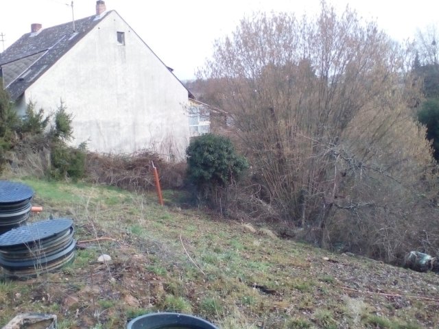 Bild von
