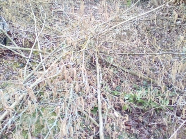 Bild von