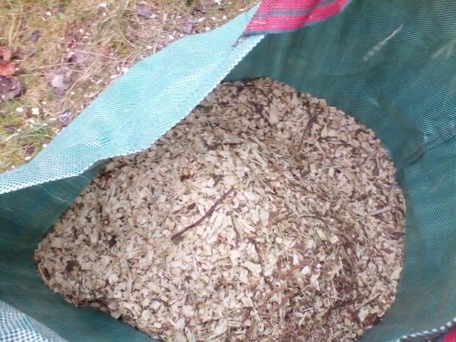 Bild von
