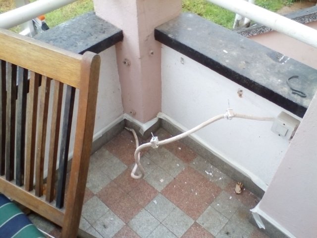 Bild von