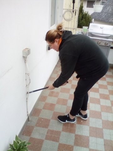 Bild von