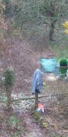 Bild von