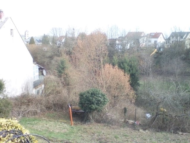 Bild von