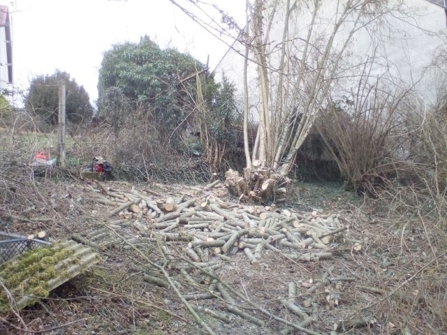 Bild von