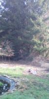 Bild von