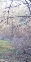 Bild von