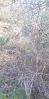 Bild von