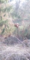 Bild von