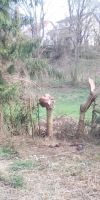 Bild von