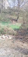 Bild von