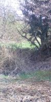 Bild von