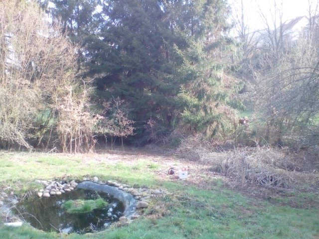 Bild von