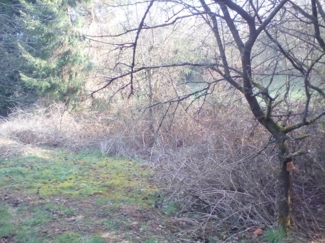 Bild von