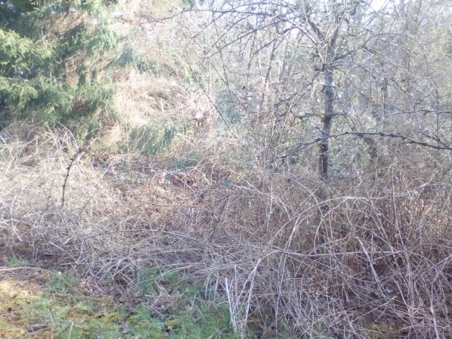 Bild von