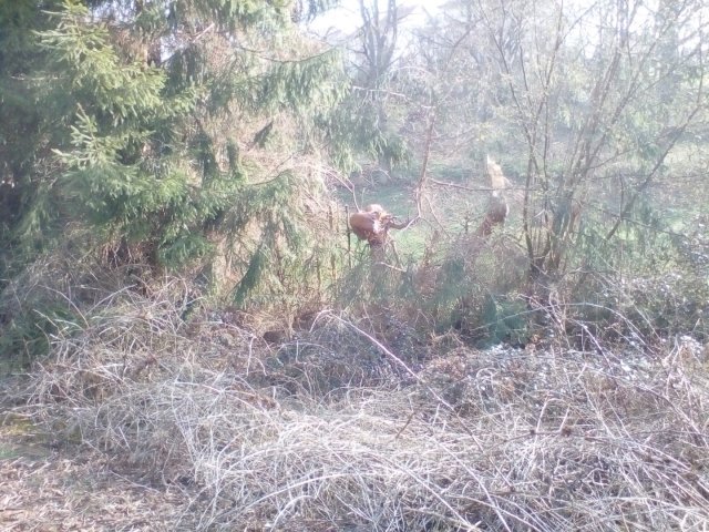 Bild von
