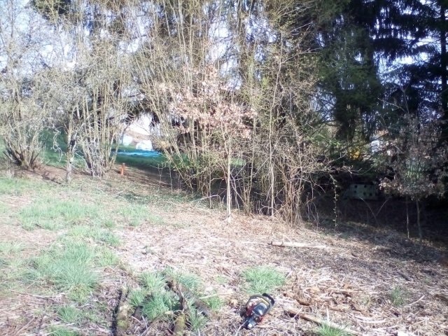 Bild von