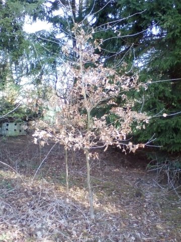 Bild von
