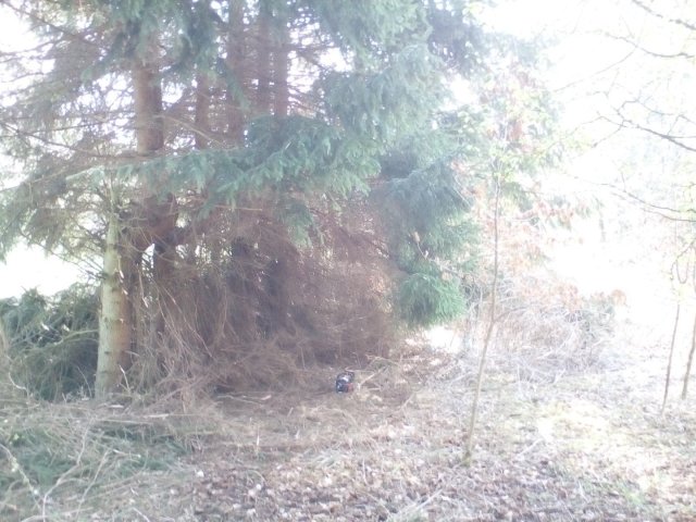 Bild von