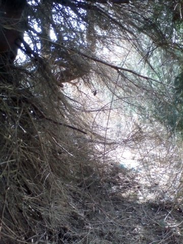 Bild von