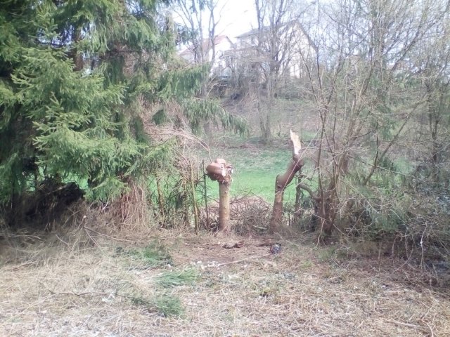 Bild von