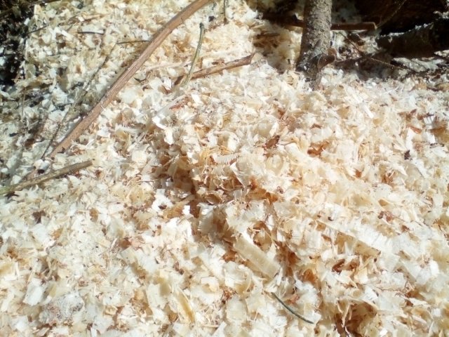 Bild von