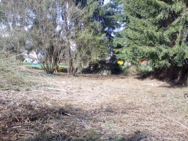 Bild von