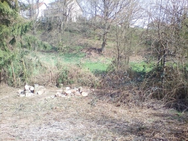 Bild von