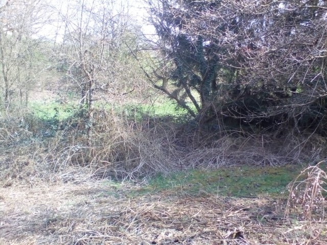 Bild von