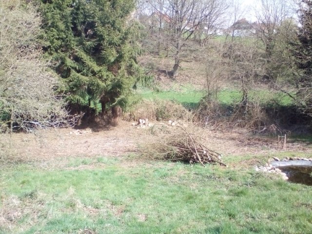 Bild von