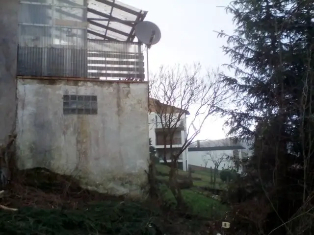Bild von