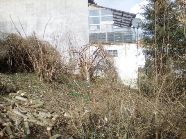 Bild von