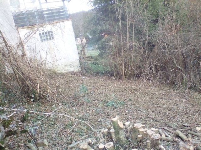 Bild von